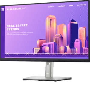 Dell 24 Inch FHD Computer Monitor - P2422H
